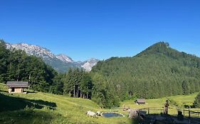 Apartment Hochsteinalm